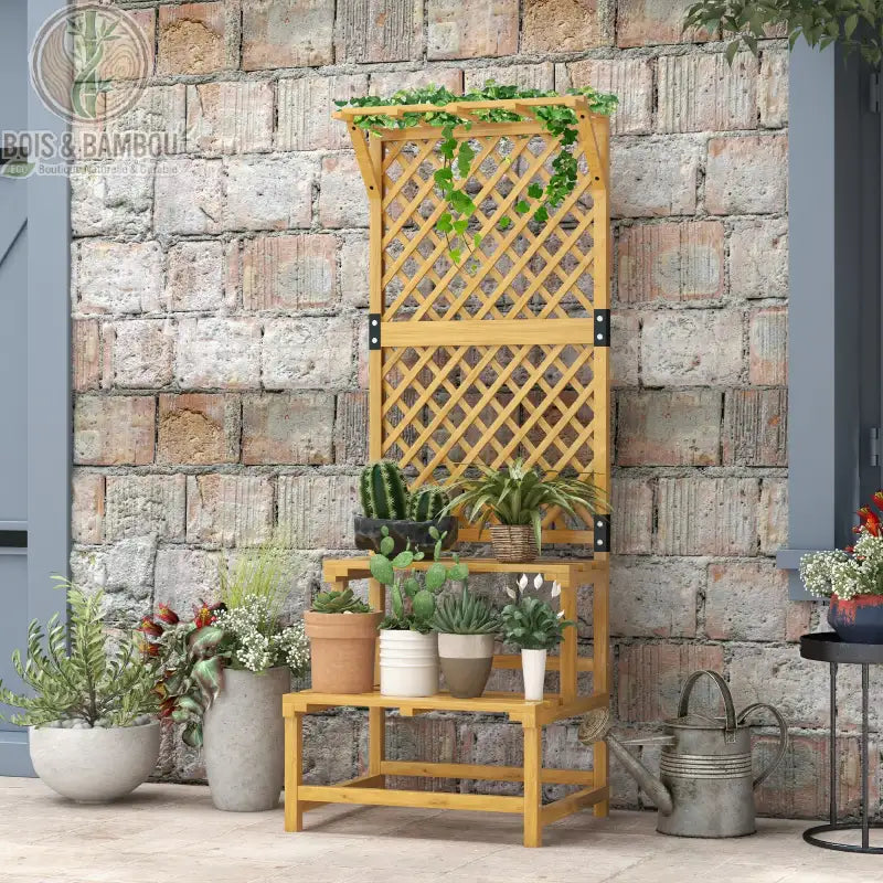 Support de Plantes en Bois avec Treillis. Étagère à fleurs en bois clair à deux niveaux surmontée d'un grand treillis décoratif, garnie de cactus et plantes devant un mur en briques.