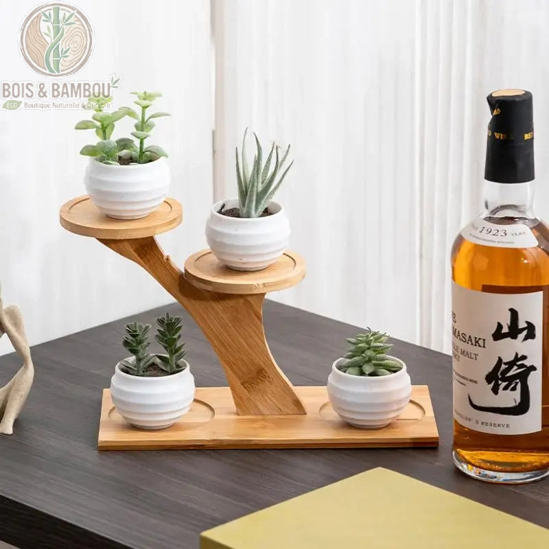 Support pot de fleur bambou 3 niveaux format L avec succulentes en pots blancs ronds sur bureau
