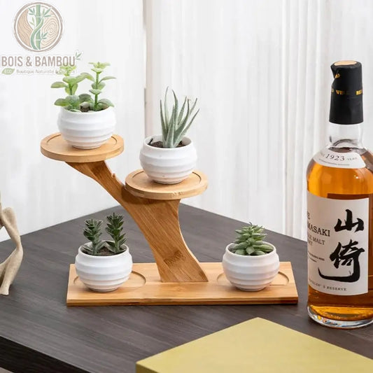 Support pot de fleur bambou 3 niveaux format L avec succulentes en pots blancs ronds sur bureau