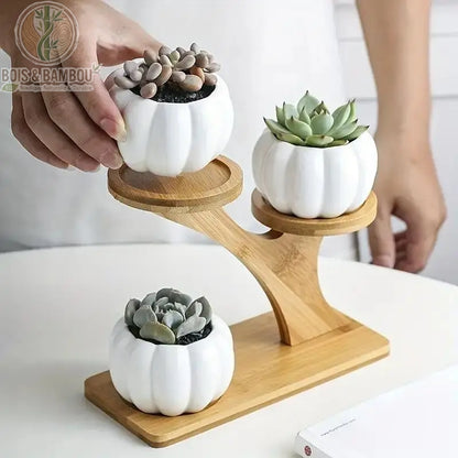 Support pot de fleur bambou 2 niveaux format S avec succulentes en pots blancs citrouille vue de côté