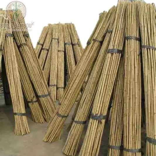 Tuteurs en Bambou Naturel. Plusieurs fagots de tiges de bambou naturel longs et droits, liés par des attaches noires et entreposés verticalement pour le jardinage.