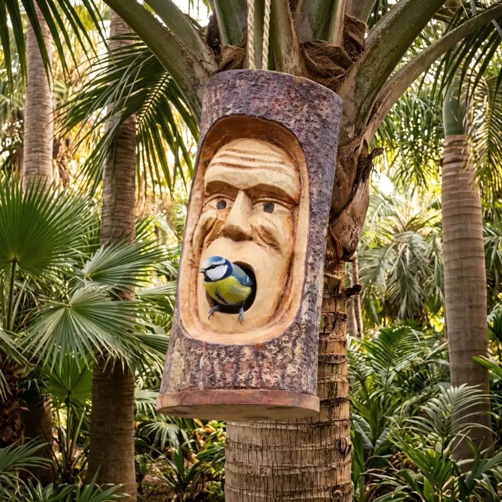Nichoir à oiseaux en bois sculpté, visage grincheux, suspendu dans un jardin avec une mésange