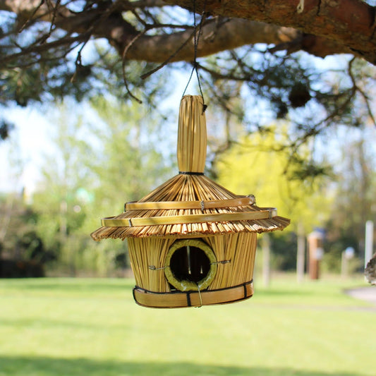 Nichoir à oiseaux en jonc tressé rond, toit en chaume, suspendu à une branche dans un jardin