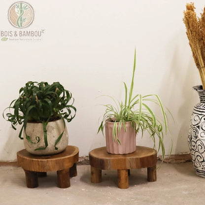 Supports à plante bois teck avec cache-pots posés, vue rapprochée en intérieur