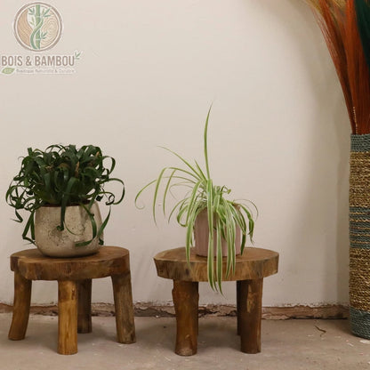 Deux supports à plante bois teck surélevés avec pots de plantes vertes, vue en situation
