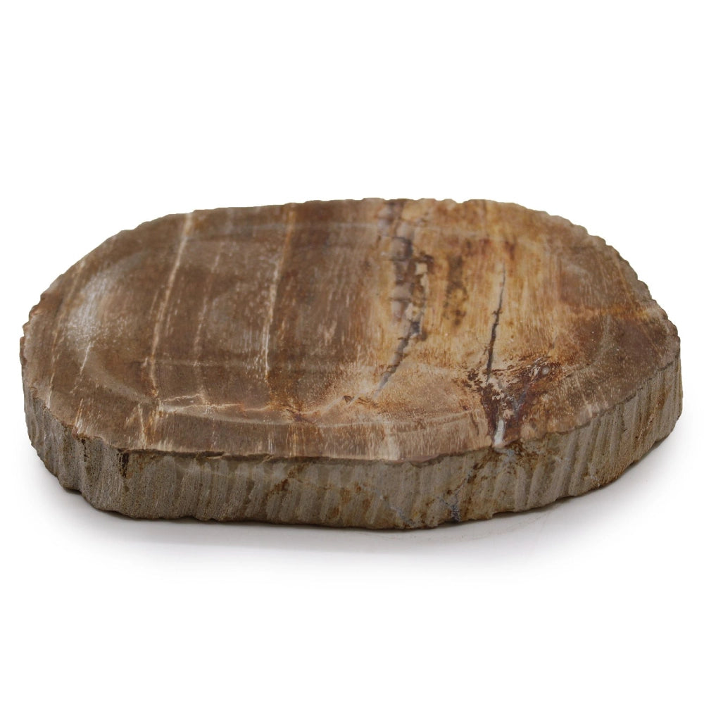 Porte-savon en bois fossilisé brun sur fond blanc, flancs striés et coupelle ovale, pièce unique