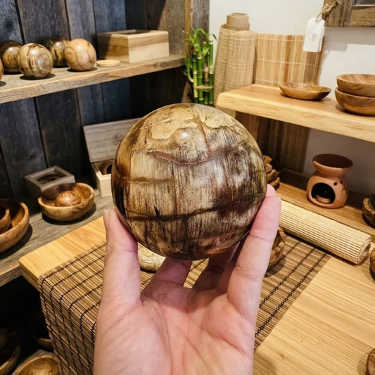 Sphère en bois pétrifié polie aux tons beige et brun, fibres du bois d'origine visibles, photo indicative