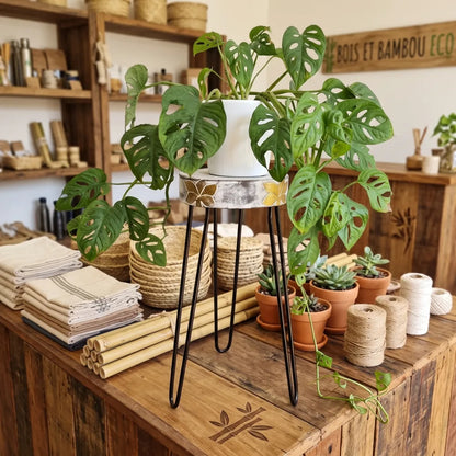 Support à plantes en bois d'Albasia coloris Blanc avec plante Monstera