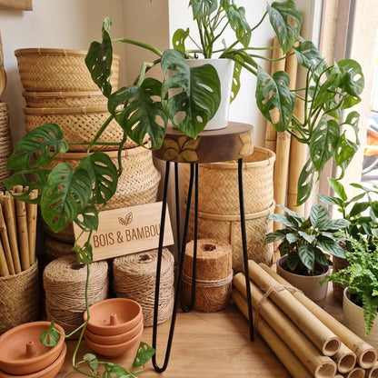 Support à plantes en bois d'Albasia coloris Naturel avec plante Monstera