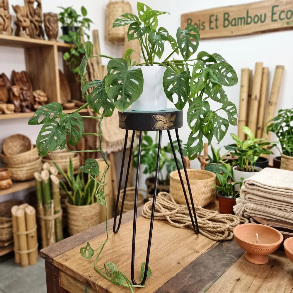 Support à plantes en bois d'Albasia coloris Turquoise avec plante Monstera