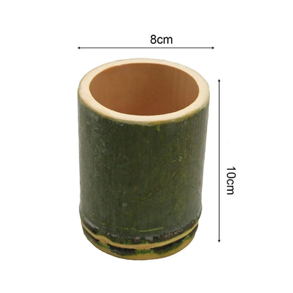 Tasse en bambou naturel ronde sur fond blanc avec dimensions 8 cm de diamètre et 10 cm de hauteur