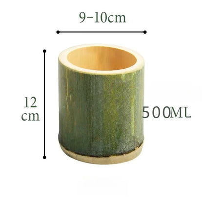 Tasse en bambou tube vert naturel, diamètre 9 à 10 cm, contenance 500 ml