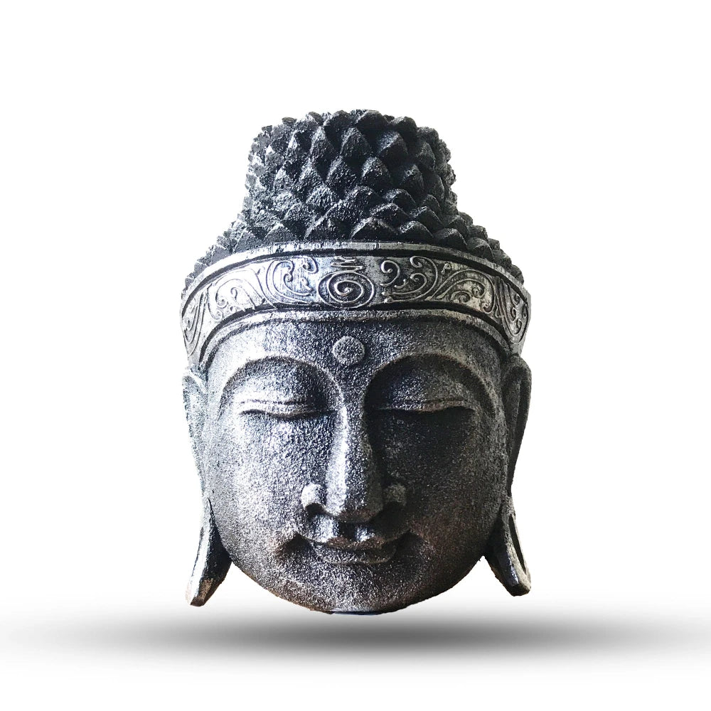 Tête de Bouddha en bois d'albasia argentée, chevelure sombre et bandeau à volutes, vue de face sur fond blanc